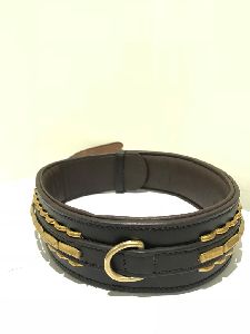 Dog Collars