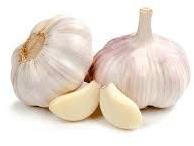 Fresh Garlic