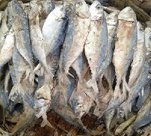 Dried Fish