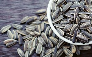 Sunflower Seeds