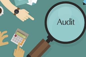 statutory audit services