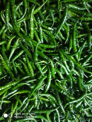 Fresh Green Chilli
