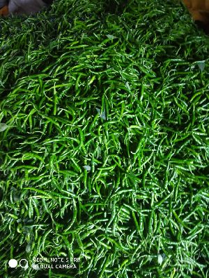 Fresh Green Chilli