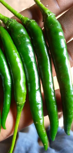 Fresh Green Chilli