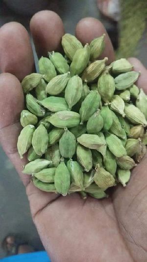 green cardamom