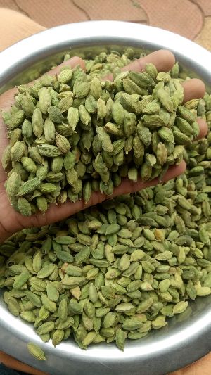 green cardamom