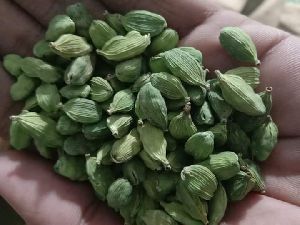 green cardamom