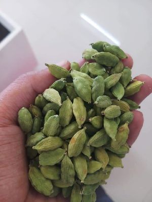 green cardamom