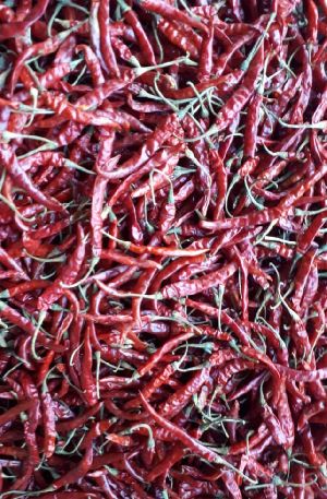 Dried Red Chilli