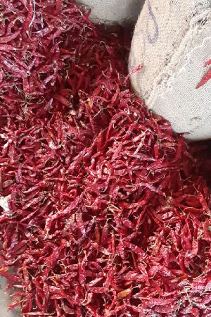 Dried Red Chilli