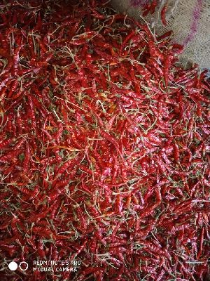 Dried Red Chilli
