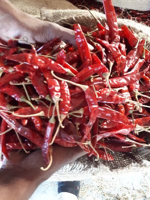 Dried Red Chilli