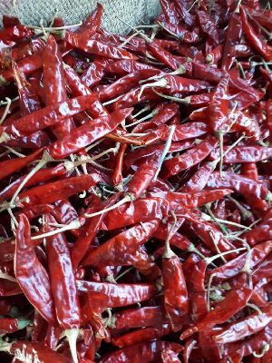 Dried Red Chilli