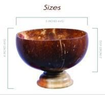 Coconut Shell Bowl