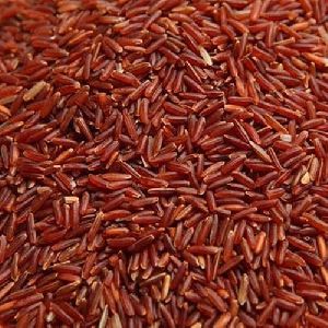Organic Sivappu Kavuni Rice