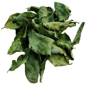 dried curry leaf
