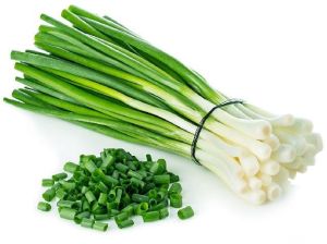 Fresh Green Onion