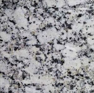 P White Indian Granite