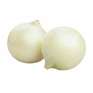 Fresh White Onion