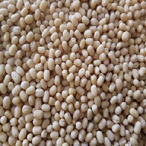 Urad Dal