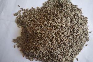 Cumin Seeds