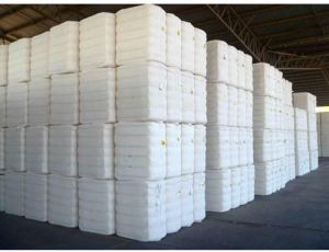 Cotton Bale