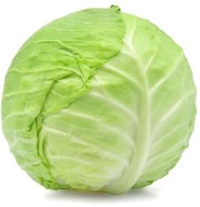 Fresh Cabbage