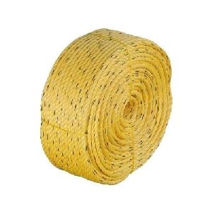 PP Danline Rope