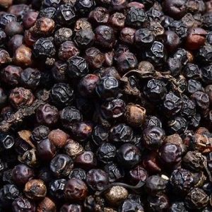 Black Pepper Seeds