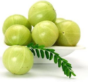 Fresh Gooseberry