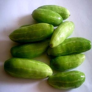 Fresh Ivy Gourd