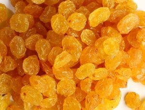 Golden Raisins