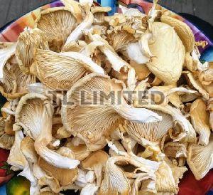 Natural Dry Oyster Mushroom