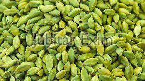 Green Cardamom