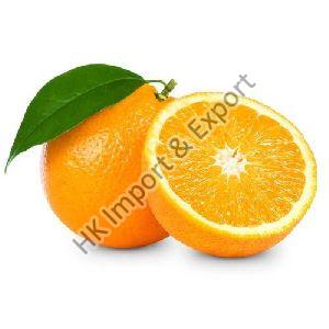 Fresh Orange