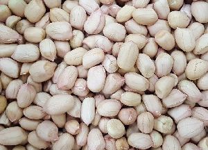 White Groundnut Seeds