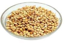 Coriander Seeds