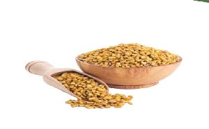 Fenugreek Seeds