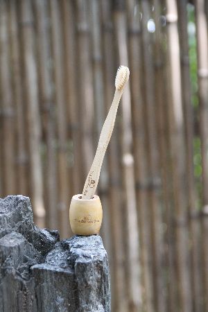 Bamboo Toothbrush