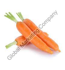 Fresh Carrot