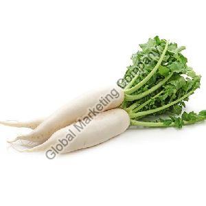 Fresh Radish