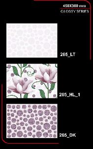 450x300mm Glossy Series Wall Tiles