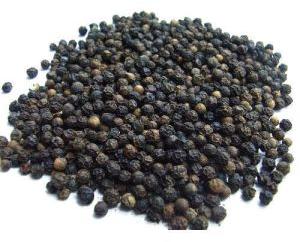 Black Pepper Seeds