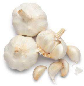 Fresh Garlic