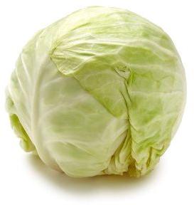 Fresh Green Cabbage