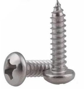 Phillips Head Self Tapping Screw