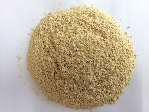 Dried Garlic Powder