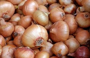 Fresh Yellow Onion