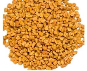 Fenugreek Seeds