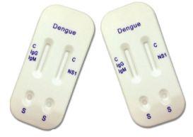 Dengue Test Kit